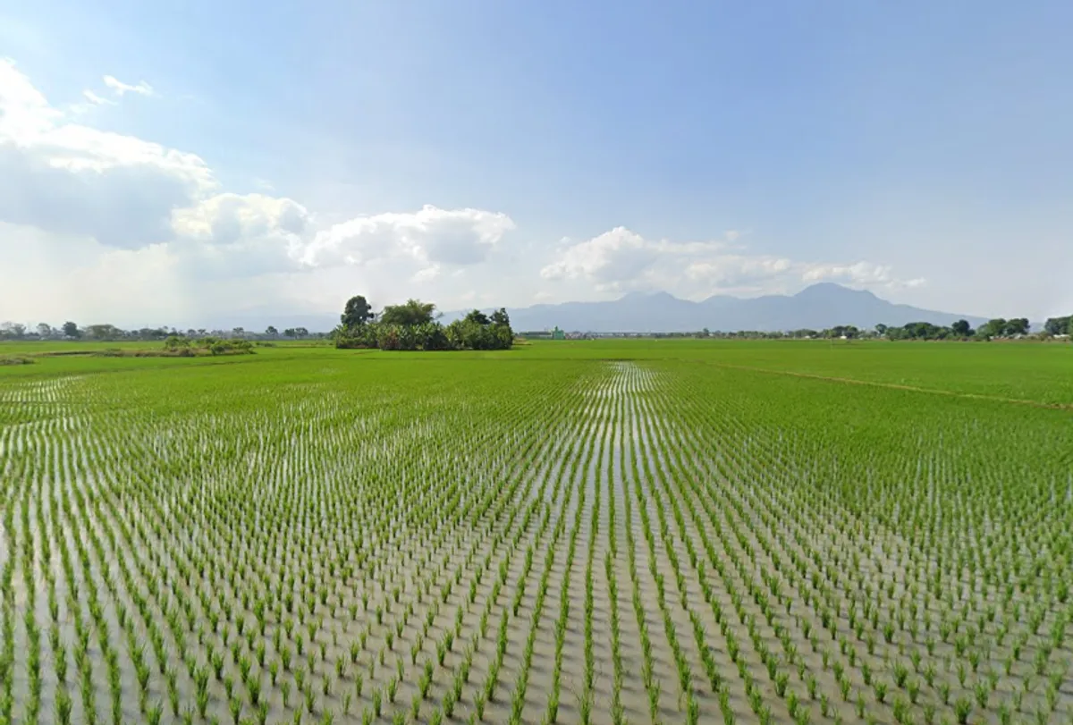 Persawahan di Kecamatan Bojongsoang, Kabupaten Bandung. (Sumber: Google map)