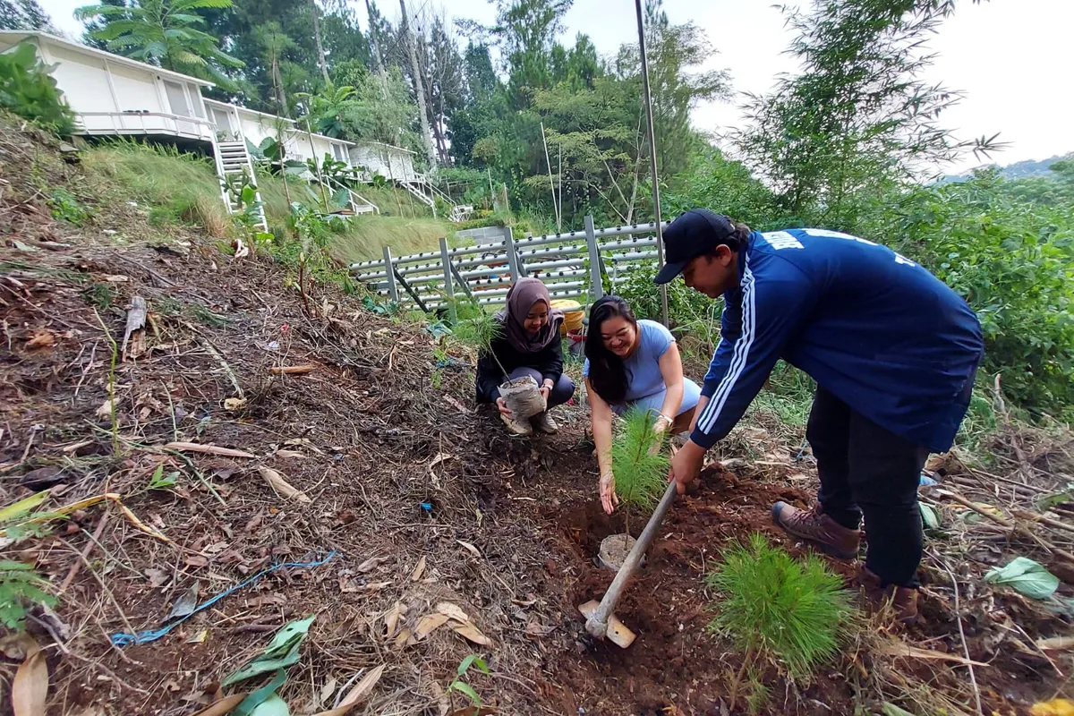 Pemilik Over Easy Glamping, Steffi Suharja saat membantu tamu menanamkan bibit pohon untuk memastikan kelestarian alam sekitar. (Sumber: Ayobandung.id | Foto: Eneng Reni Nuraisyah Jamil)