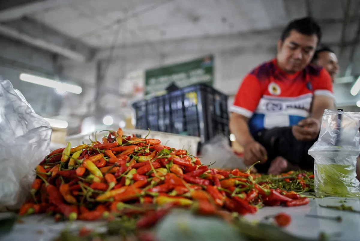 Ilustrasi komoditas pangan strategis menjadi perhatian utama dalam pengendalian inflasi Jawa Barat. (Sumber: Ayobandung.id)
