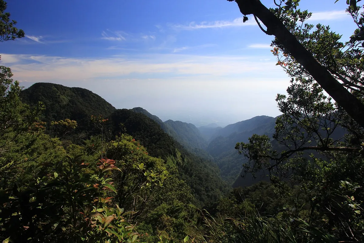 Gunung Halimun. (Sumber: Wikimedia Commons/Toni Wöhrl and Sang Cai)