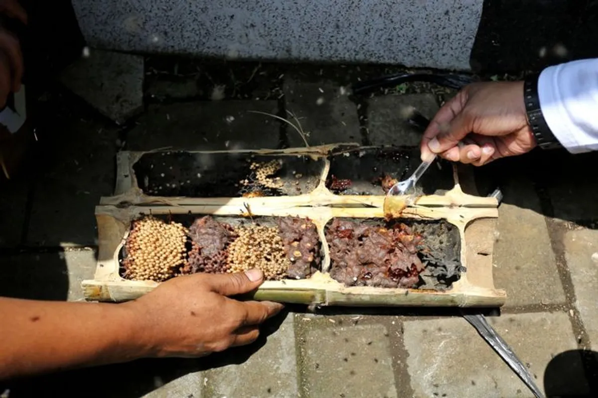 Madu dari budidaya Buruan Sae di Astanaanyar (Foto: Ist)