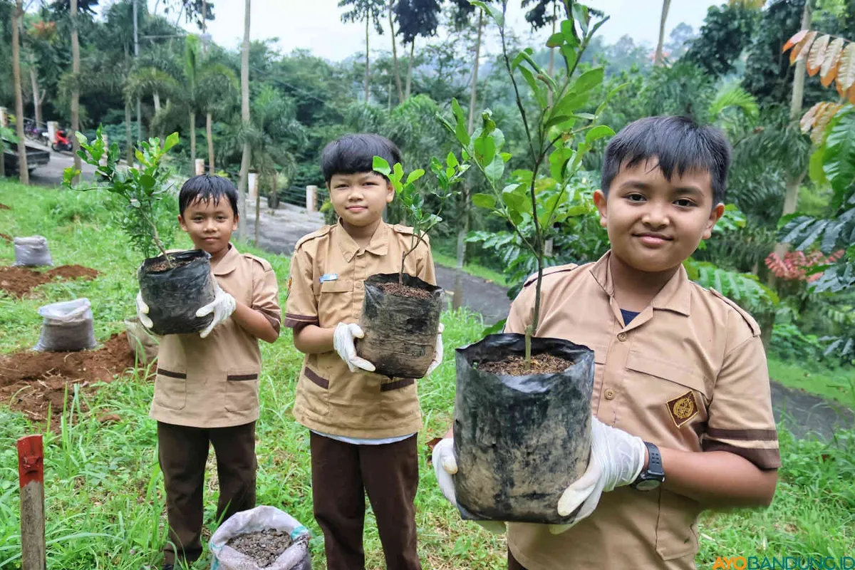 Menanam pohon bisa jadi solusi jangka panjang untuk menjaga ketersediaan air dalam tanah. (Sumber: ayobandung.id | Foto: Irfan Al- Faritsi)