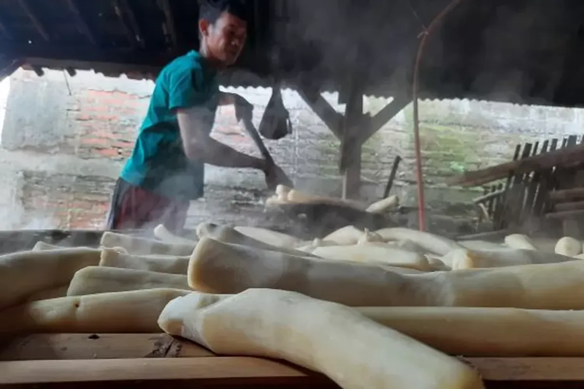 Tape Bendul Purwakarta (Sumber: Ayobandung)