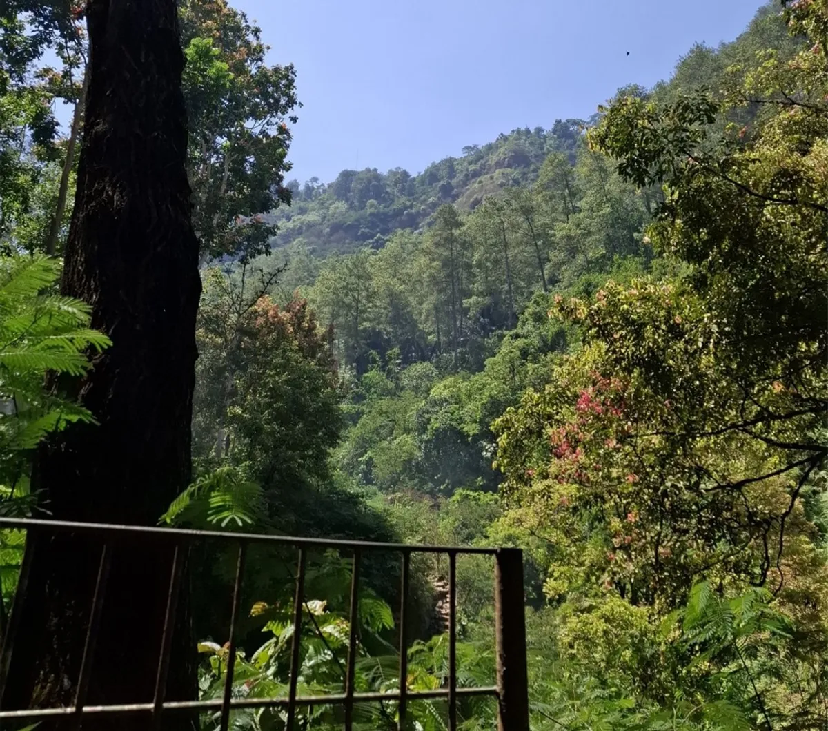 Taman Tahura Bandung (Sumber: Document Pribadi | Foto: Yayang Nanda Budiman)