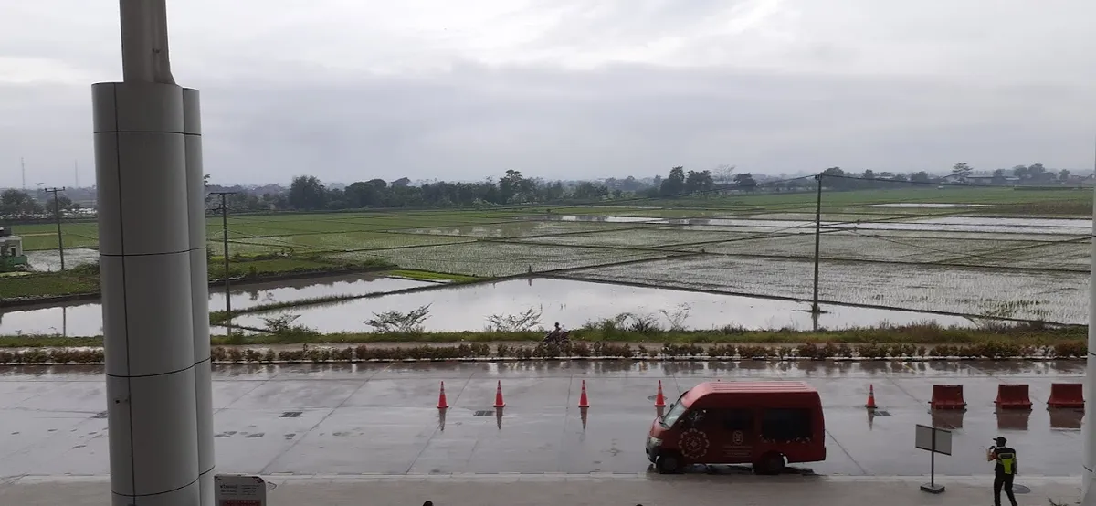 Kondisi persawahan yang membentang di kawasan Rancaekek dekat stasiun Tegalluar (Sumber: dokpri | Foto: Totok Siswantara)