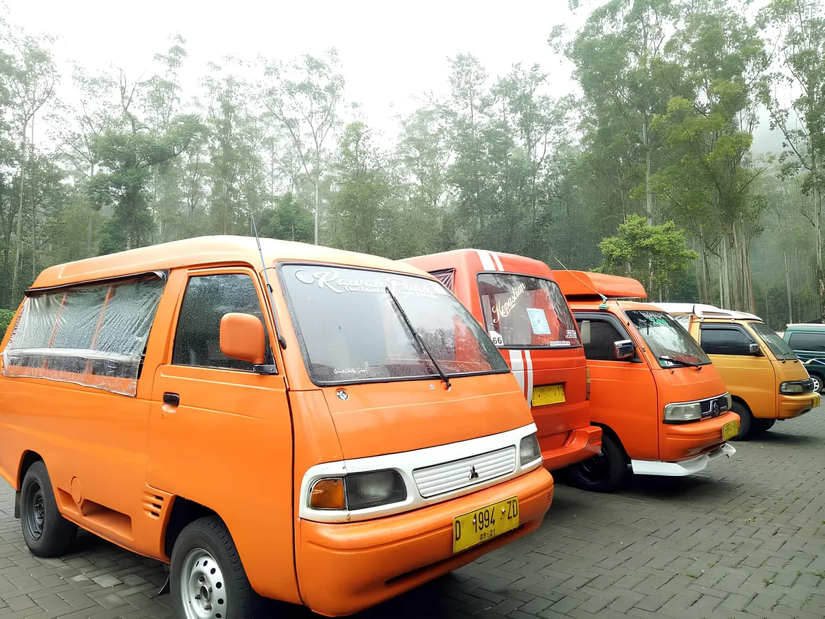 Ontang-anting di objek wisata alam Kawah Kutih. (Sumber: Ayobandung.id | Foto: Eneng Reni Nuraisyah Jamil)