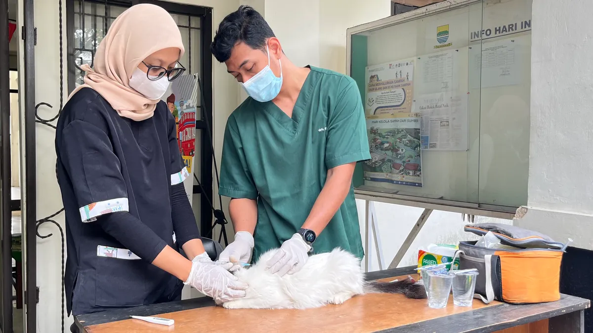 Vaksin rabies gratis untuk kucing dan ending di Kelurahan Rancanumpang oleh Dokter Hewan DKPP Kota Bandung (Sumber: Seli Siti Amaliah Putri | Foto: Seli Siti Amaliah Putri)