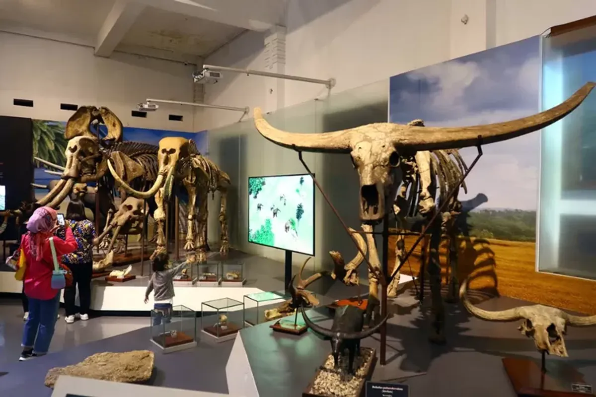 Sejumlah pengunjung mengamati salah satu koleksi
yang ada di Museum Geologi, Jalan Diponegoro. (Sumber: ayobandung.com | Foto: Irfan Al-Faritsi)