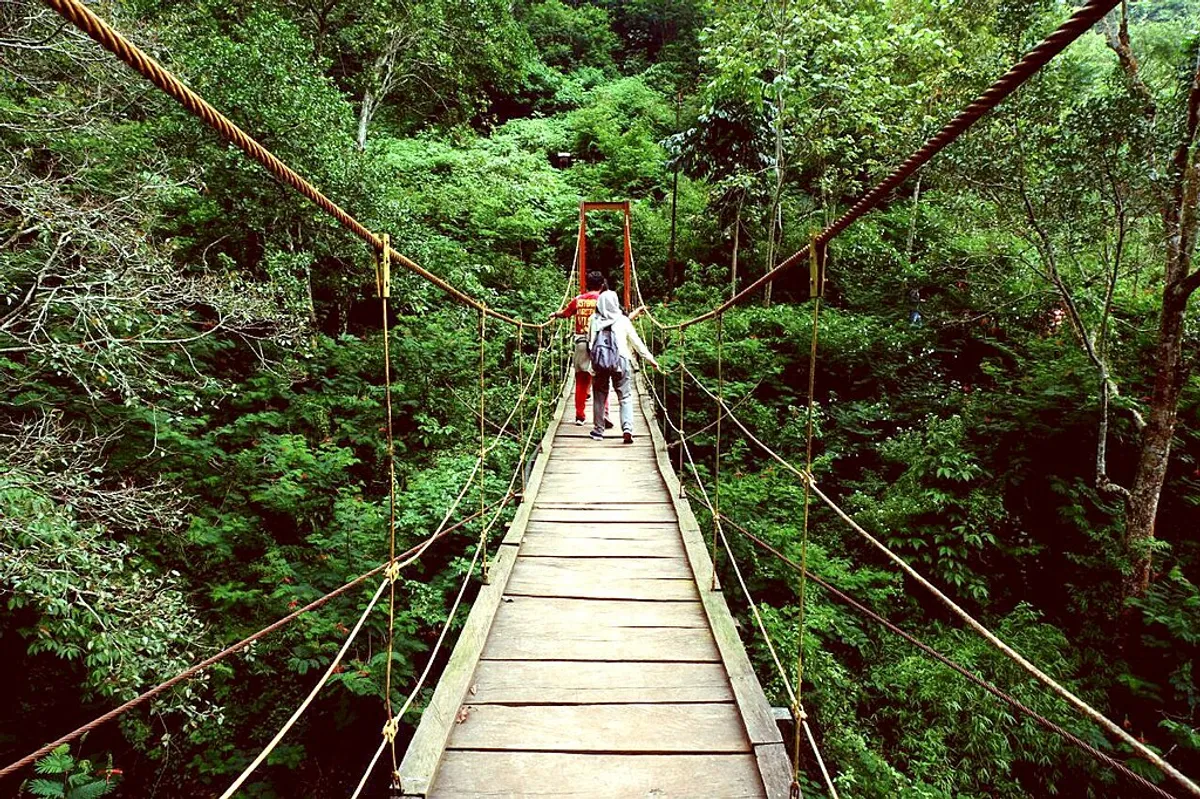Jembatan Gantung di Taman Hutan Ir. Djuanda merupkan Taman Hutan di Kawasan Kota Bandung. (Sumber: Wikimedia Commons | Foto: Samudraeka)