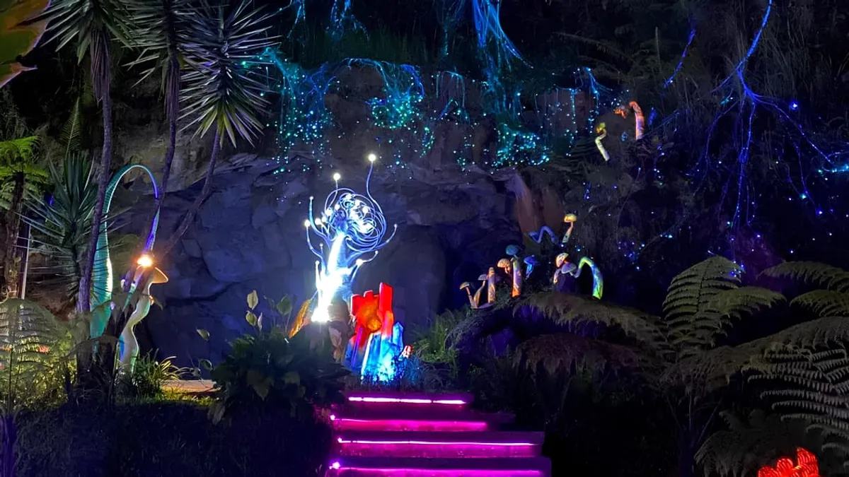 Cahaya Warna-Warni Menerangi Malam di Hutan Mycelia, Cikole, Lembang (4/11/2025) (Foto: Farah Sausan)