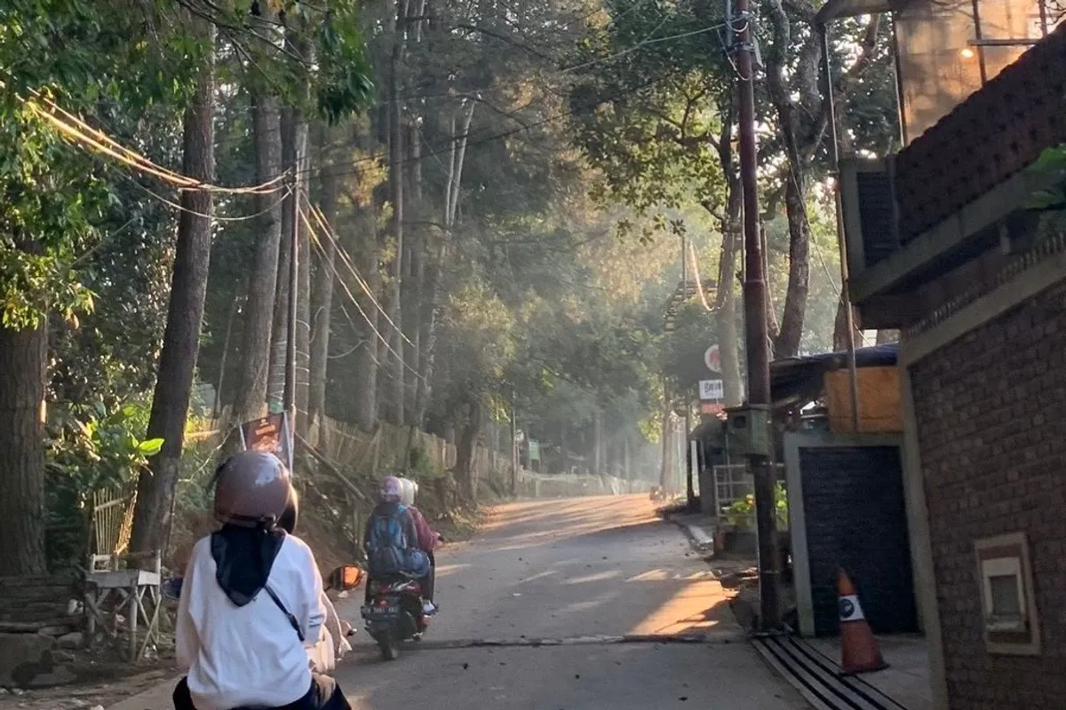 Matahari pagi menyinari jalan menuju Tahura dengan lembut, Jumat (07/11/2025) (Sumber: Dokumentasi Nindy Lazuar)