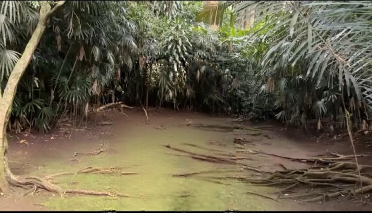 Tempat ini biasanya digunakan untuk melaksanakan berbagai upacara adat (Sumber: Audya Athayya Khalisa)