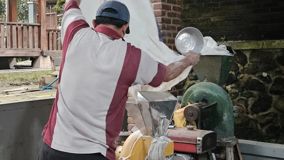 Masyarakat Kampung Adat Cireundeu sedang mengolah singkong menjadi Beras Singkong sebagai kebutuhan pangan utama mereka.
(30/10/2025)(Sumber: Calya Pratista) (Sumber: Calya Pratista | Foto: Calya Pratista)