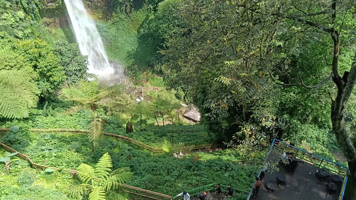 Gambar memperlihatkan pemandangan spot view desk dan keberadaan monyet di sekitar area wisata, Curug Pelangi, Kabupaten Bandung Barat (2/11/25) (Sumber: Dokumentasi Penulis | Foto: Tazkiya Hasna Putri S)