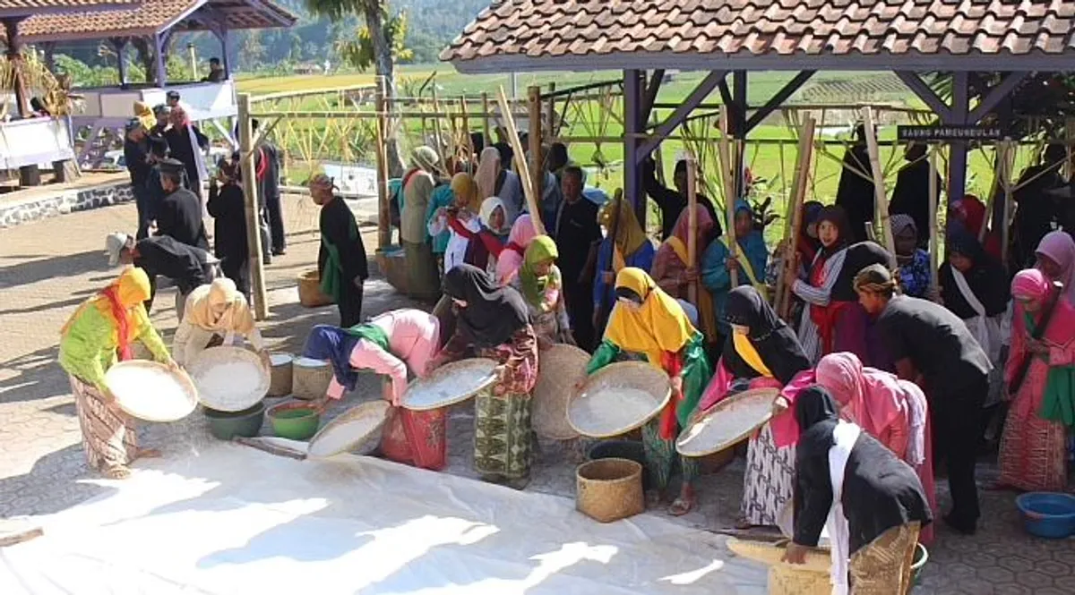 Warga Desa Rancakalong mengikuti prosesi Meseul
Bakal dengan menumbuk padi menjadi beras pada upacara adat Ngalaksa, Jumat (15/05/2025). (Sumber: @kangzamzamnikmat on Tiktok | Foto: Zamzam Nikmat)