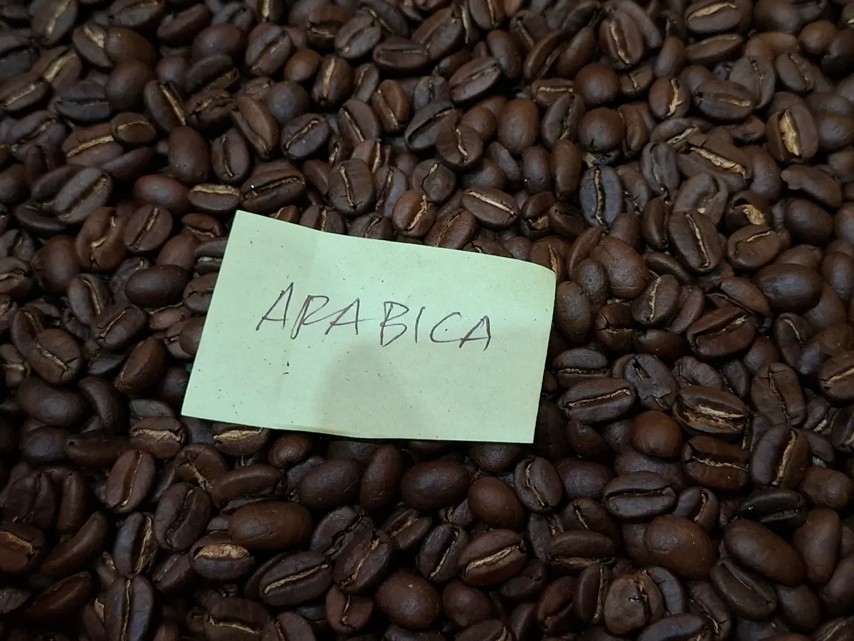 Biji kopi Arabika Grade 1 hasil sangrai Hagya Coffee. (Foto: Iwan Fauzi)