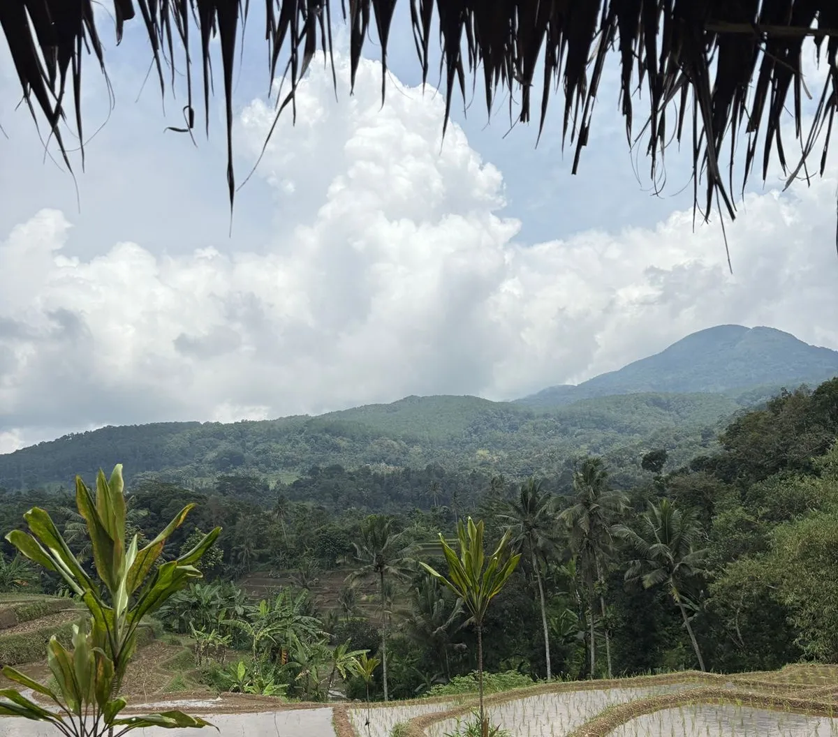 Pemandangan di rumah makan Pengkolan Jati di Cimalaka, Sumedang. (Sumber: Istimewa)
