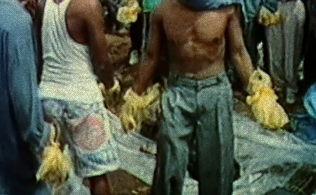 Footage berita kasus Dukun AS.