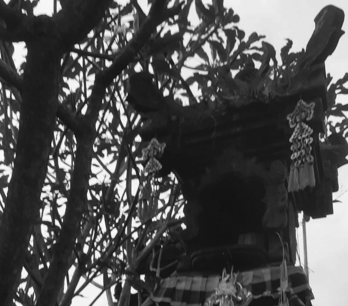 Pelinggih Khas Umat Hindu Bali (Sumber: Dokumentasi Pribadi | Foto: Arfi Pandu Dinata)