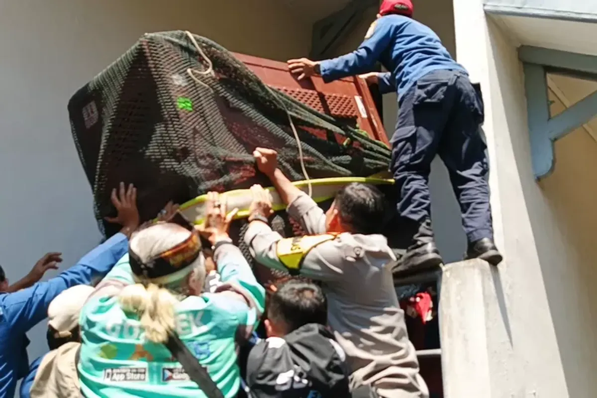 Evakuasi macan tutul di Hotel Sukasari Bandung yang diduga merupakan satwa kabur dari Lembang Park & Zoo. (Sumber: Ayobandung | Foto: Gilang Fathu Romadhan)