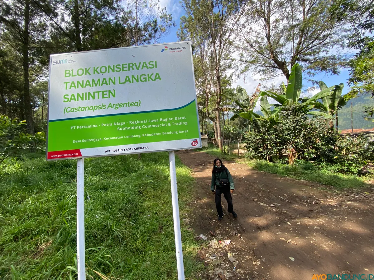 Plang konservasi Saninten di Desa Suntenjaya, Kecamatan Lembang. (Sumber: ayobandung.id | Foto: Restu Nugraha)