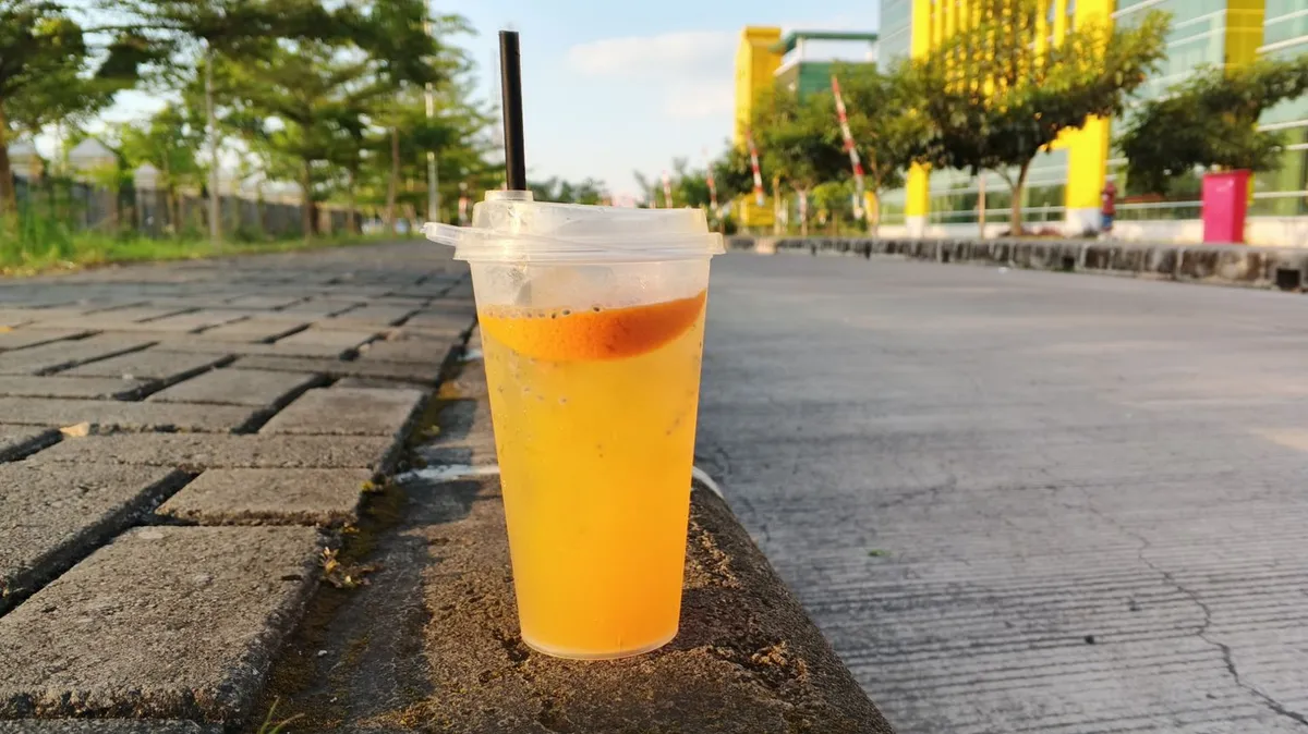 Si Orange (Sumber: Dokumentasi Penulis | Foto: Dias Ashari)