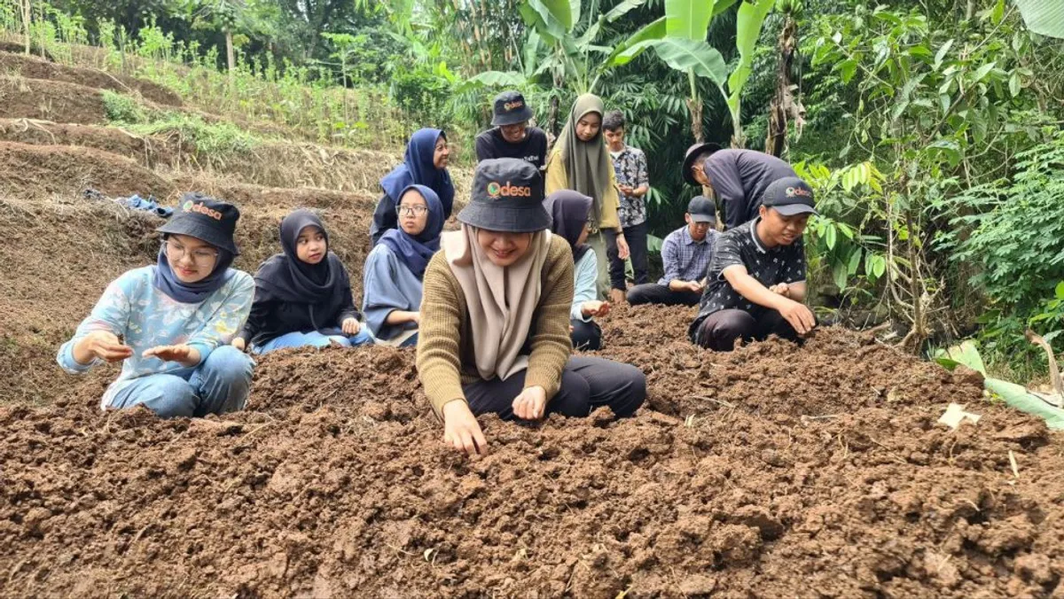 Anak muda yang tergabung dalam Yayasan Odessa menanam benih hanjeli di kebun botani yang mereka kelola. (Sumber: Yayasan Odessa)