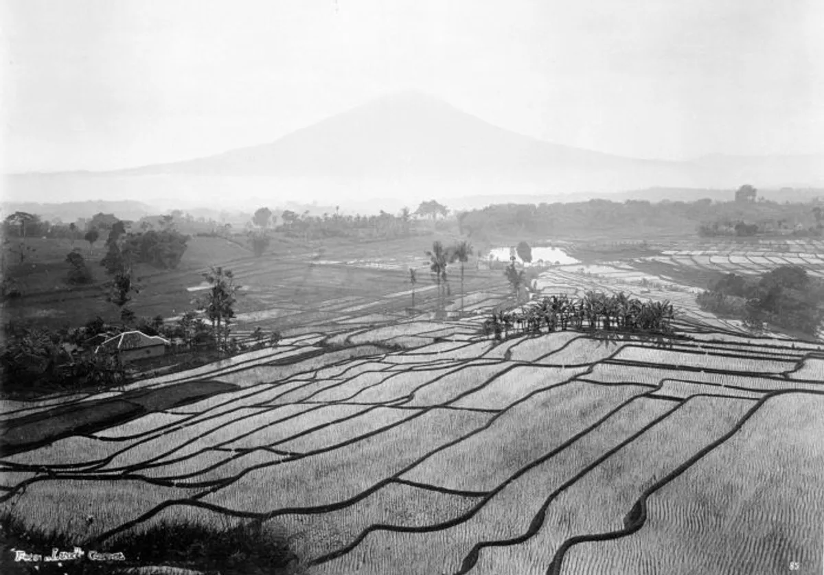Potret pemandangan sawah di kaki Gunung Cikuray Garut oleh Thilly Weissenborn. (Sumber: Wikimedia)