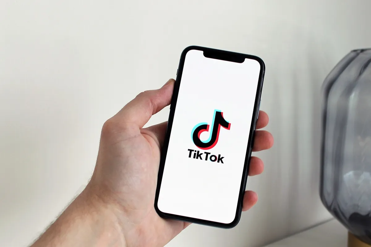 Ilustrasi TIKTOK (Foto: Pixabay)