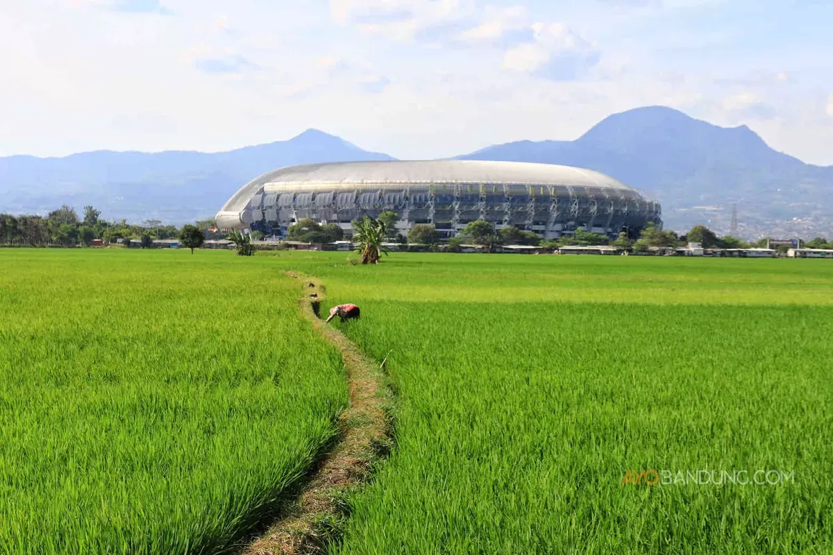 Petani saat menggarap sawah di Gedebage, Kota Bandung, Senin 2 September 2024. (Sumber: AyoBandung.com | Foto: Irfan Al-Faritsi)