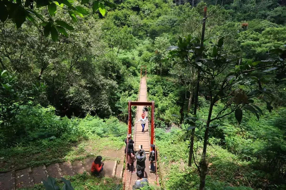 Sejumlah pengunjung berfoto di Jembatan Gantung Curug Koleang, Kawasan Taman Hutan Raya (Tahura) Djuanda, Bandung, Sabtu (9/2/2019). (Sumber: Ayobandung.id | Foto: Irfan Al-Faritsi)