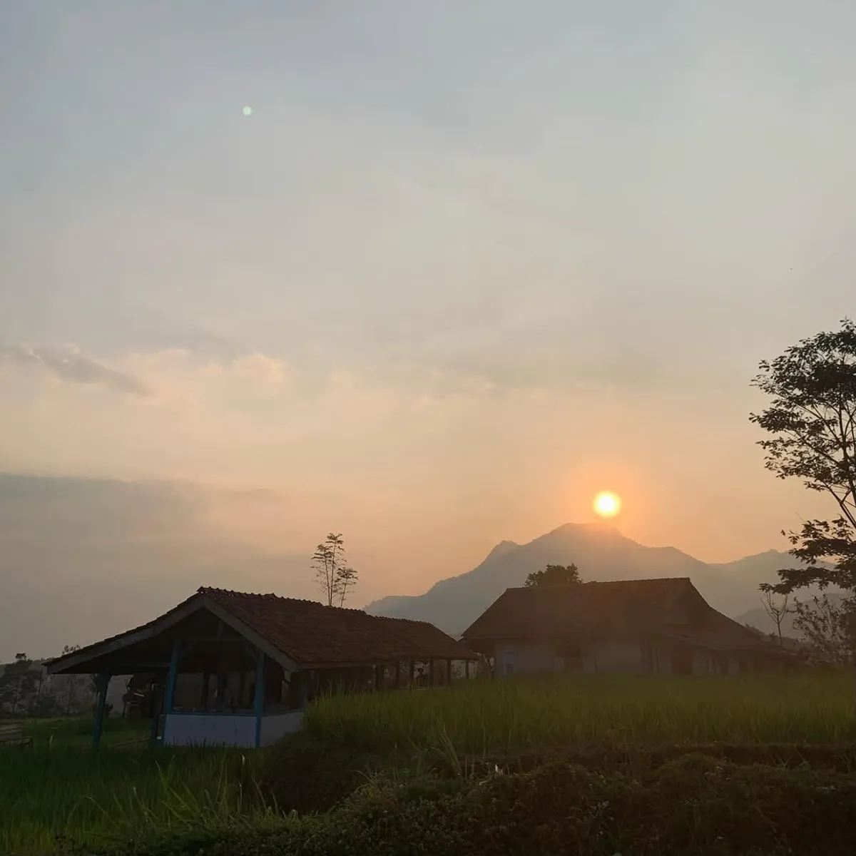 Suasana sawah, panorama Gunung di kejauhan semakin menambah keindahan alam sekitar. (Sumber: https://www.instagram.com/kampung.kawangi | Foto: Istimewa)