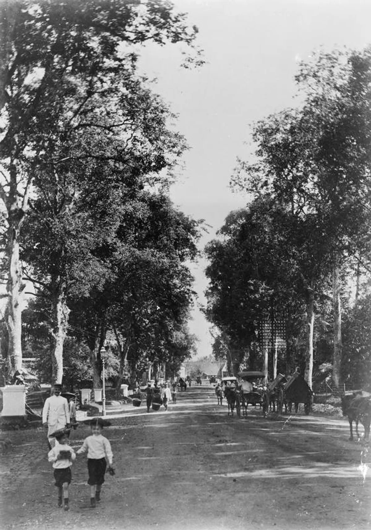 De Grote Postweg Buitenzorg (Sumber: KITLV)