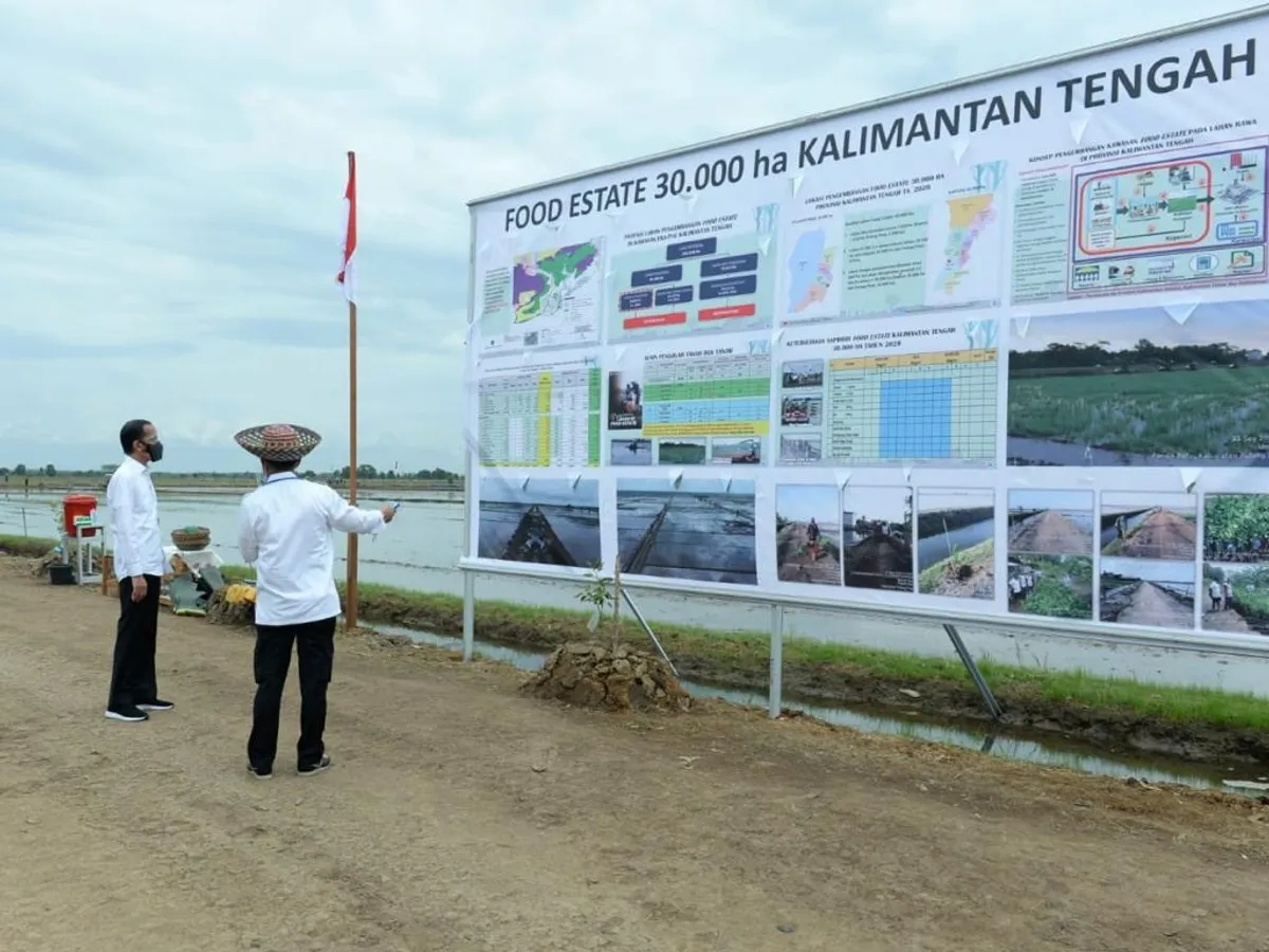 Presiden Joko Widodo meninjau lokasi pengembangan Food Estate Pulang Pisau, Kalimantan Tengah (8/10/2020). (Sumber: BPMI Setpres | Foto: Kris)