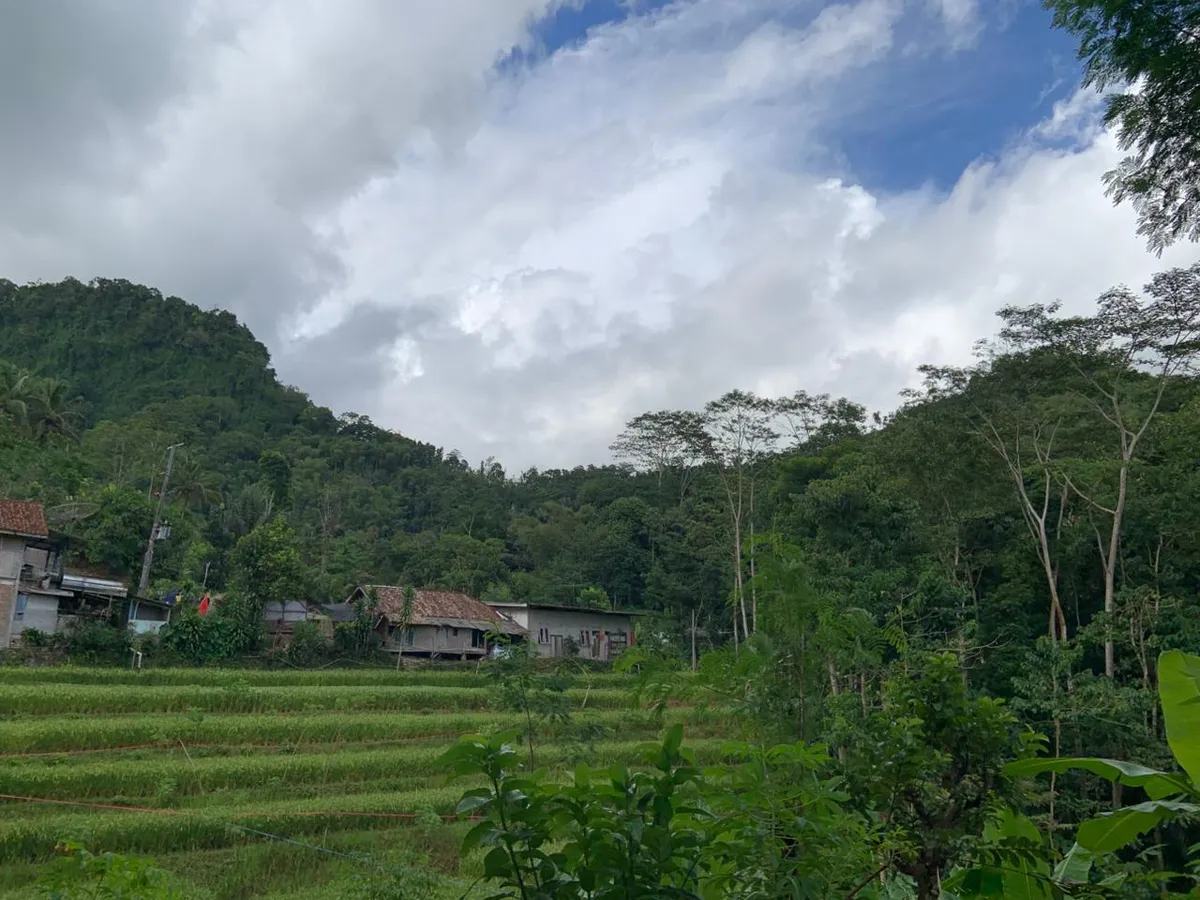Foto sawah terasering dan rumah-rumah warga sekitar (Sumber: Dokumen Pribadi | Foto: Nadhil Ayudiya Az Zahra)