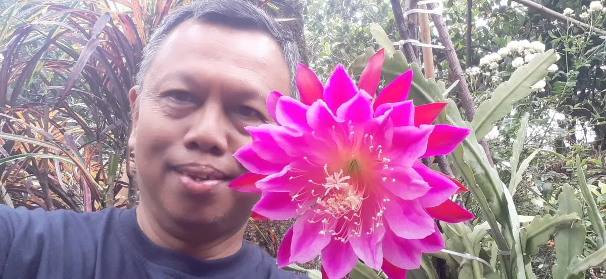 Penulis bercengkerama dengan bunga bahagia, kembang suwarga yang jatuh ke Bumi (Sumber: dokpri | Foto: Totok Siswantara)
