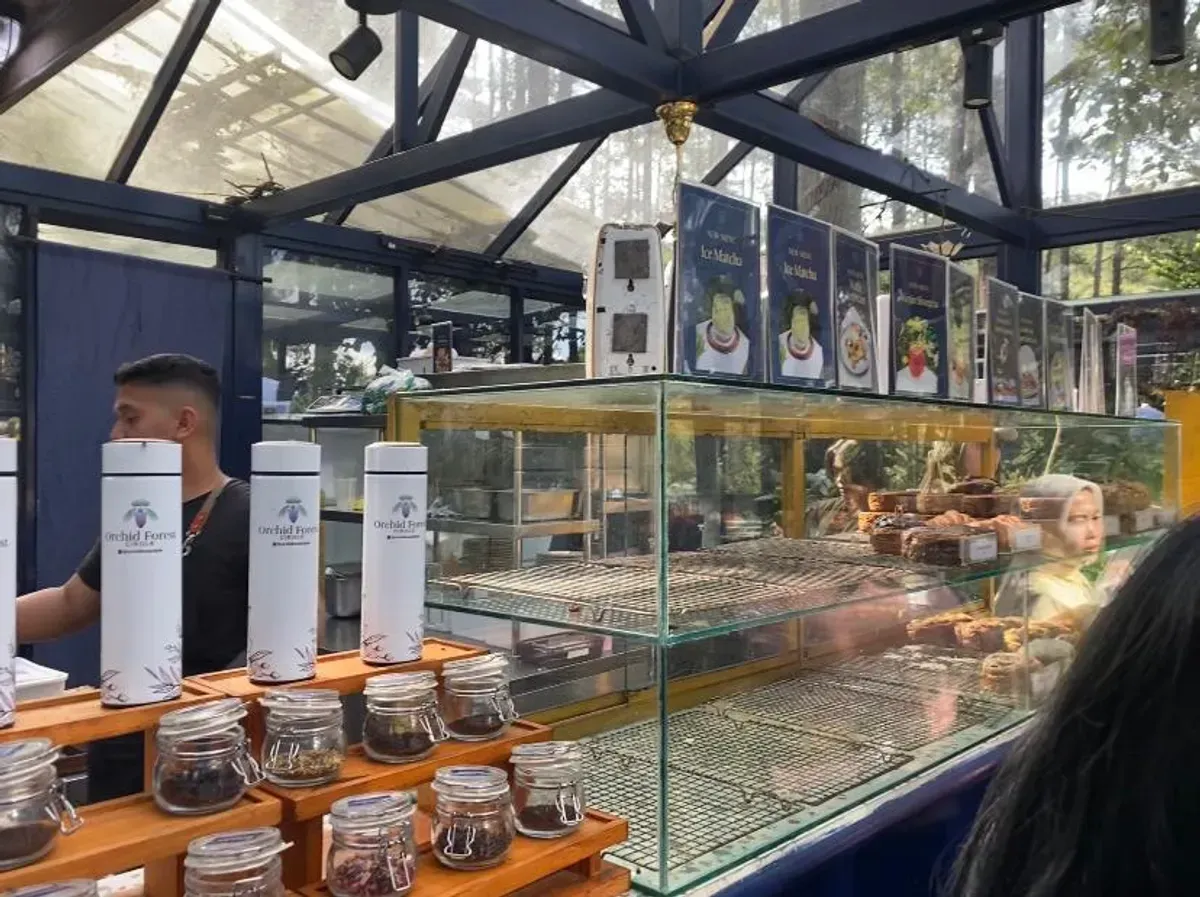 Ilustrasi kedai kopi yang memadukan konsep alam terbuka dengan desain modern rustic yang didominasi unsur kayu dan kaca. (Sumber: ayobandung.id | Foto: Syifa Nur Fauziah)