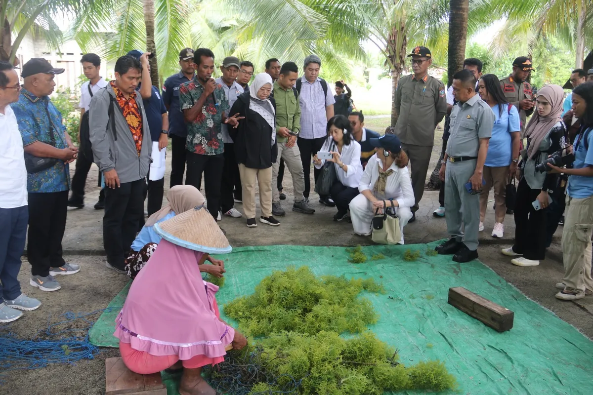 Ilustrasi pemberdayaan ekonomi terhadap perempuan di pesisir oleh Kementerian Kelautan dan Perikanan (KKP) (Sumber: Media KKP)