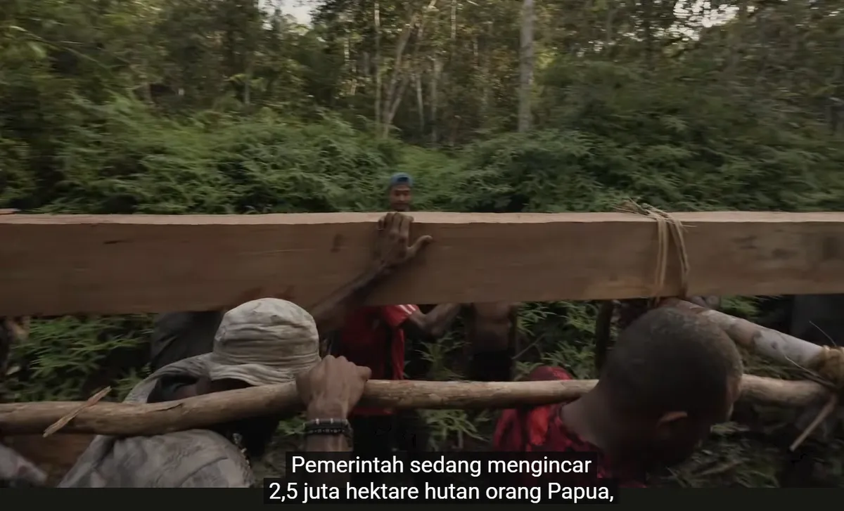 Cuplikan film Pesta Babi. (Sumber: Jubi TV)