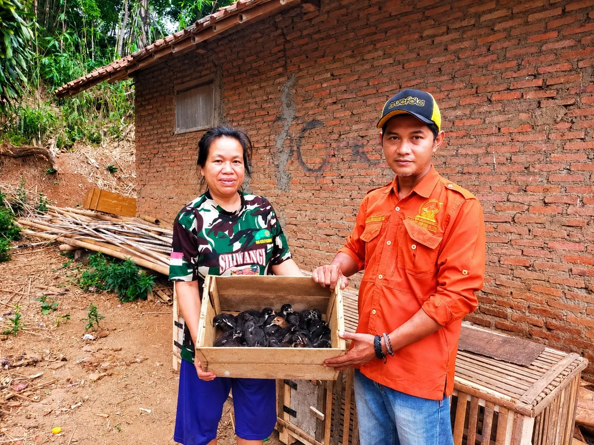 Iman Romansyah (baju orange), KAUR Umum Tata Usaha dan Koordinator BUMDes Margamukti, Sumedang, bersama seorang warga peternak ayam, (22/5/2026). (Sumber: Ayobandung.id | Foto: Aris Abdulsalam)