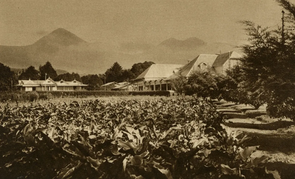 Potret indah Hotel Tjisoeroepan di Garut dengan latar belakang Gunung Papandayan, sekitar tahun 1910. (Sumber: KITLV)