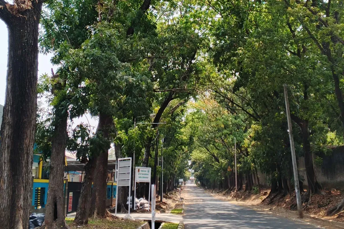 Kawasan PLN Cirebon di Jalan Tuparev (Sumber: Dokumentasi Penulis | Foto: Dias Ashari)