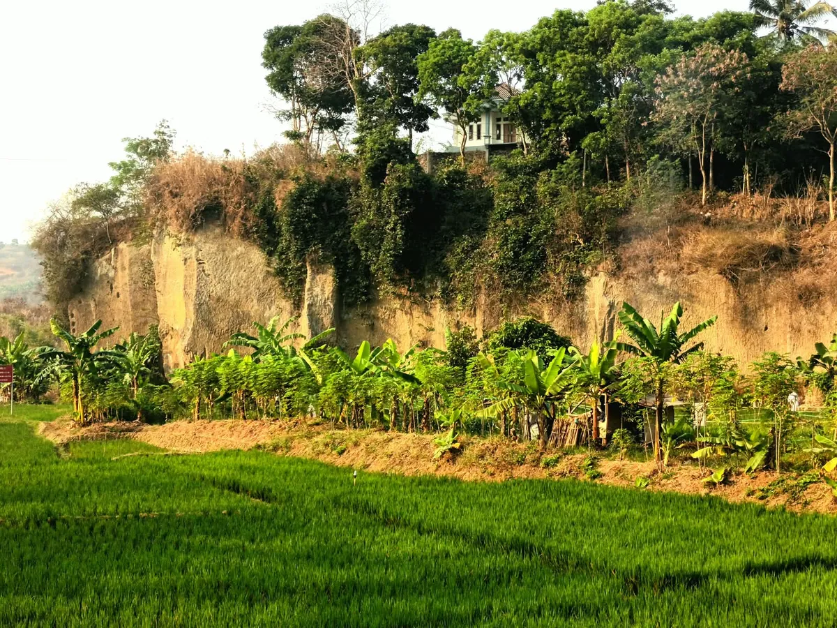 Singkapan sisa penambangan endapan awanpanas atau ignimbrit. (Sumber: T Bachtiar)