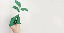 Greenwashing adalah praktik menyesatkan yang dilakukan oleh perusahaan atau organisasi untuk memberikan kesan bahwa produk, layanan, atau operasi mereka lebih ramah lingkungan. (Sumber: Pexels/Alena Koval)