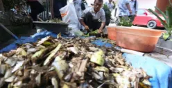 Wanjat Kastolani tidak sedang menciptakan teknologi revolusioner. Ia justru menantang paradigma lama dengan pendekatan yang nyaris tak terdengar, menyelesaikan sampah dari akarnya. (Sumber: Ayobandung.id)