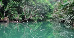 Ci Genter di dalam Taman Nasional Ujungkulon saat tenang. (Sumber: Dokumentasi Penulis | Foto: T Bachtiar)
