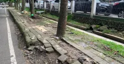 Salah satu keadaan guiding block yang terputus, rusak bahkan tertutup pohon di trotoar Jl. Gudang Utara, Kecamatan Sumur Bandung, Kota Bandung (3/12/25) (Foto: Fasha Nadira Syakir)