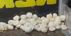 Orang Sunda Jago-nya Ciptakan Akronim Nama Makanan yang Lucu dan Gampang Diingat