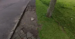 Antara Kegunaan, Estetika, dan Tantangan Penggunaan