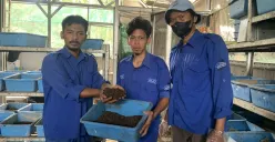 Rumah Maggot Binong Olah Ribuan Kilogram Sampah Organik Setiap Bulan